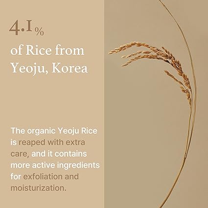 Rice Mask