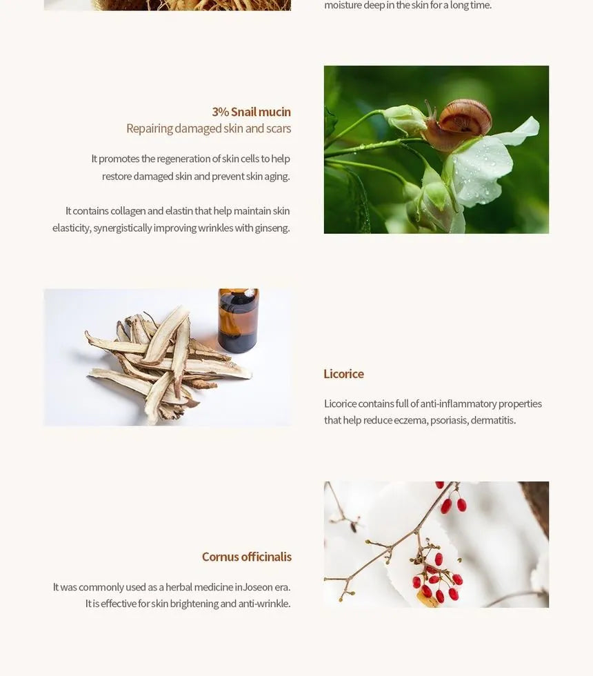 Revive Serum Ginseng + Snail Mucin