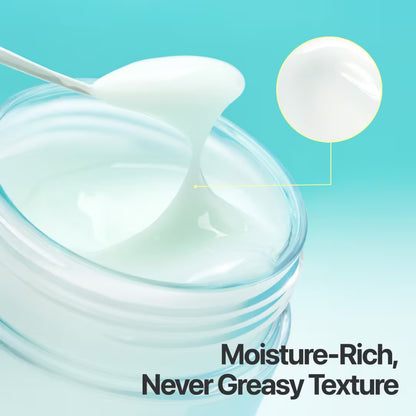 Numbuzin Pantothenic B5 Active Soothing Cream