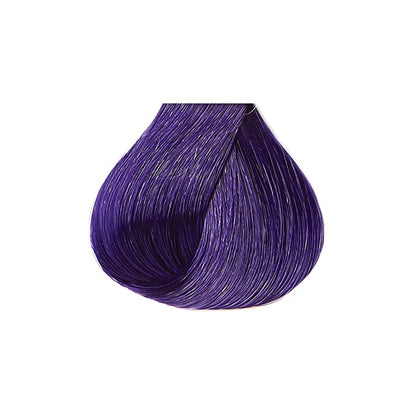 Tintation Semi-Permanent Color - Purple Passion